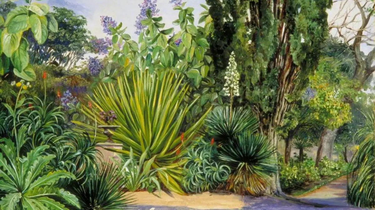 L'empire de la nature : une histoire des jardins botaniques coloniaux